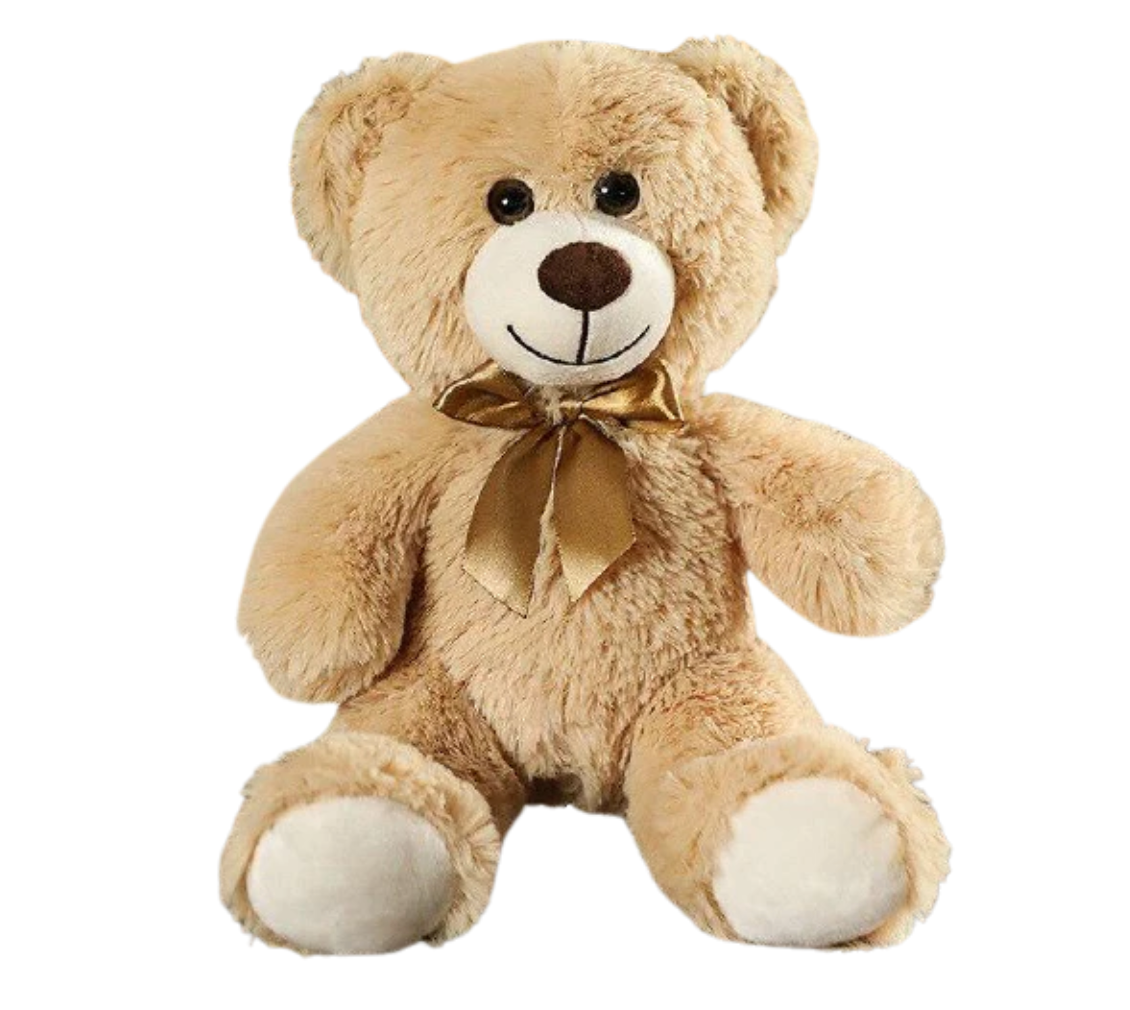 ✅ OURS EN PELUCHE
