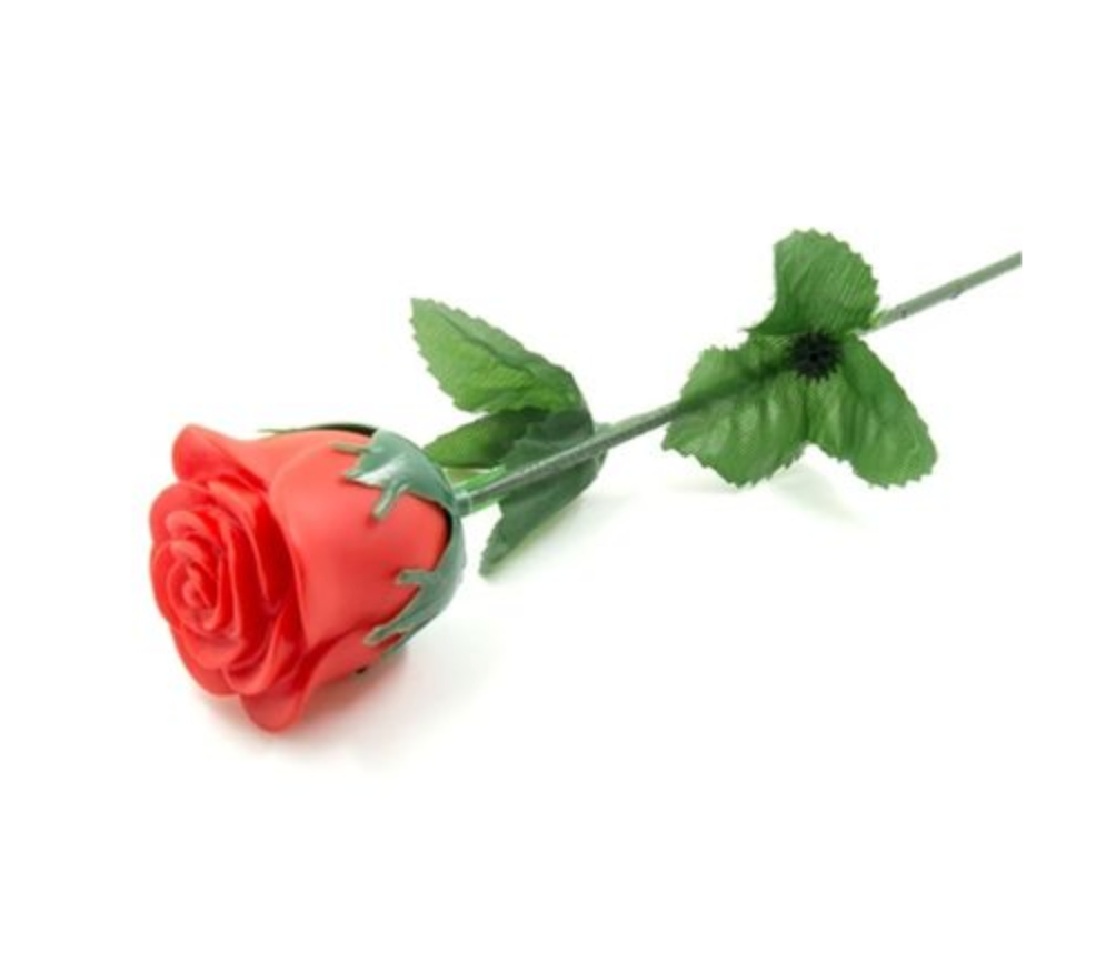 ✅ ROSE ROUGE LED ROMANTIC